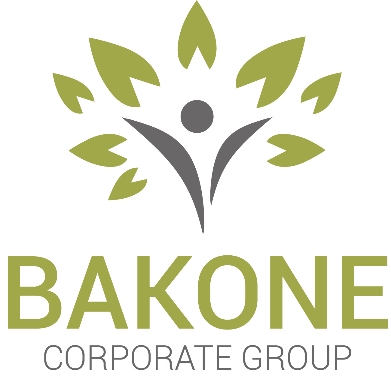Bakone Corporate Group